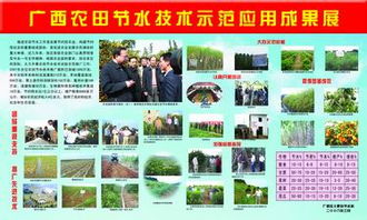 廣西農(nóng)田節(jié)水技術(shù)試驗(yàn)示范推廣成果
